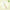 Aperire Root Retinal Roll-On Eye Cream – K-Beauty øjencreme med Retinal (B2B)