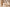 Académie Premium Shopper – Eksklusiv Canvas Taske
